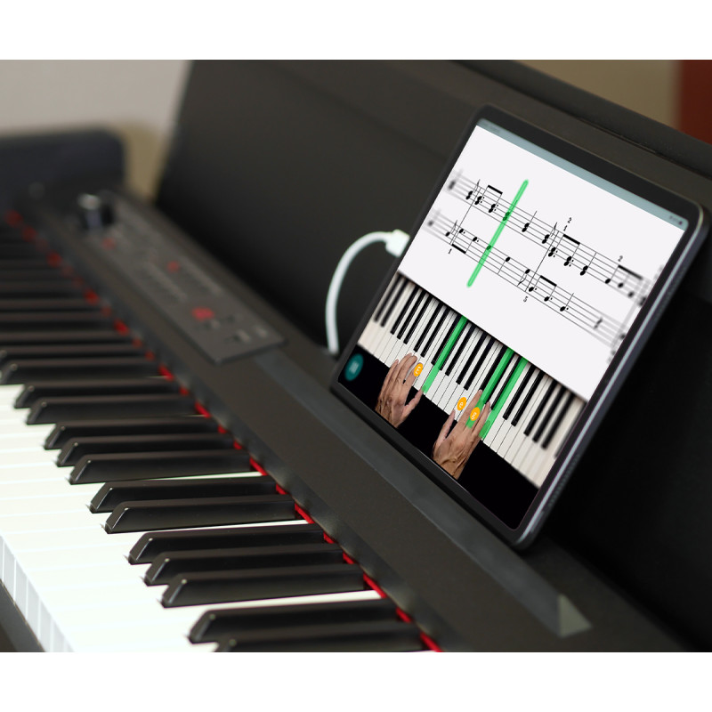 KORG LP-380-RWBK U Цифрове піаніно