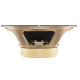 CELESTION G12M-65 Creamback (8Ω)