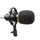 HL AUDIO BM-800 Набір для блогера