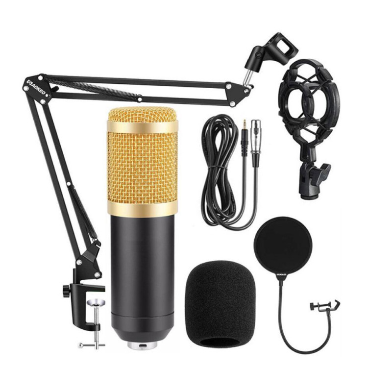 HL AUDIO BM-800 Набір для блогера
