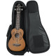 GATOR GB-4G-UKE TEN Tenor Ukulele Gig Bag Чохол для укулеле тенор