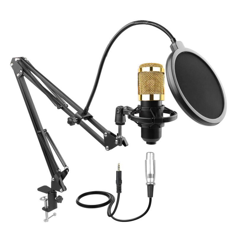 HL AUDIO BM-800 Набір для блогера