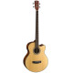 CORT SJB 5F (Natural Satin) Бас-гітара