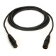 PW-CMIC-10