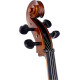 STENTOR 1108/A STUDENT II CELLO OUTFIT 4/4 Виолончель