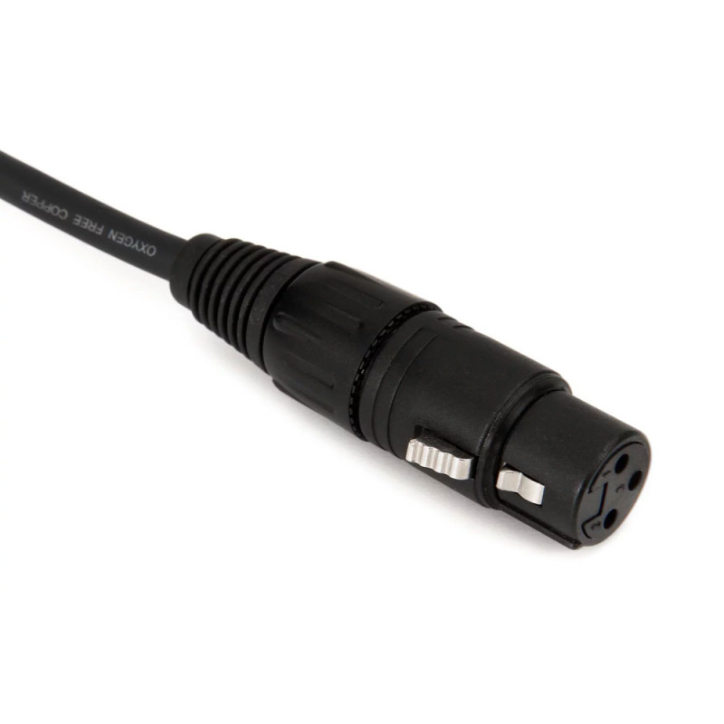 PW-CMIC-10