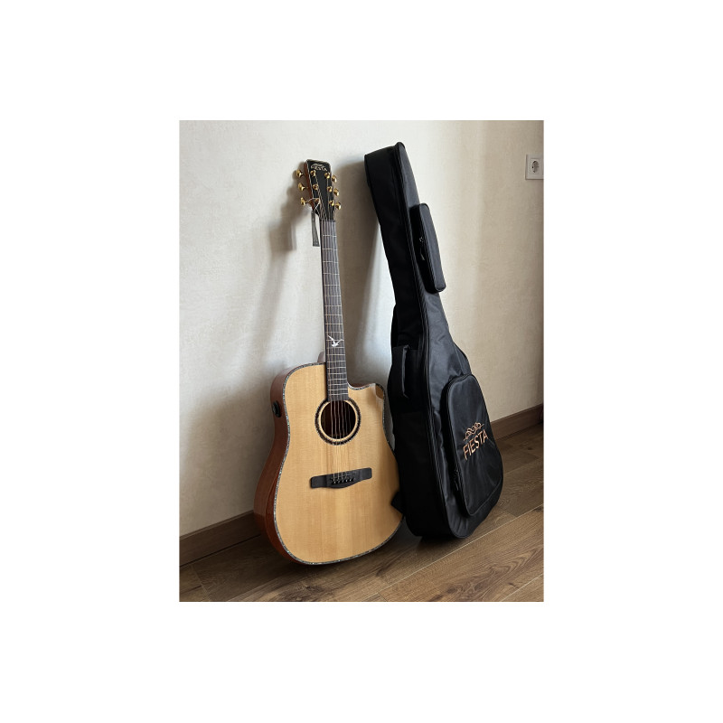 FIESTA D2 TRANSACOUSTIC NT Акустическая гитара