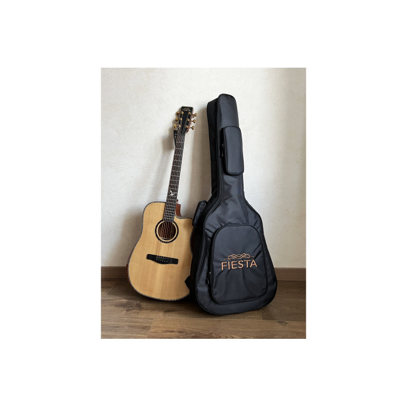 FIESTA D2 TRANSACOUSTIC NT Акустическая гитара
