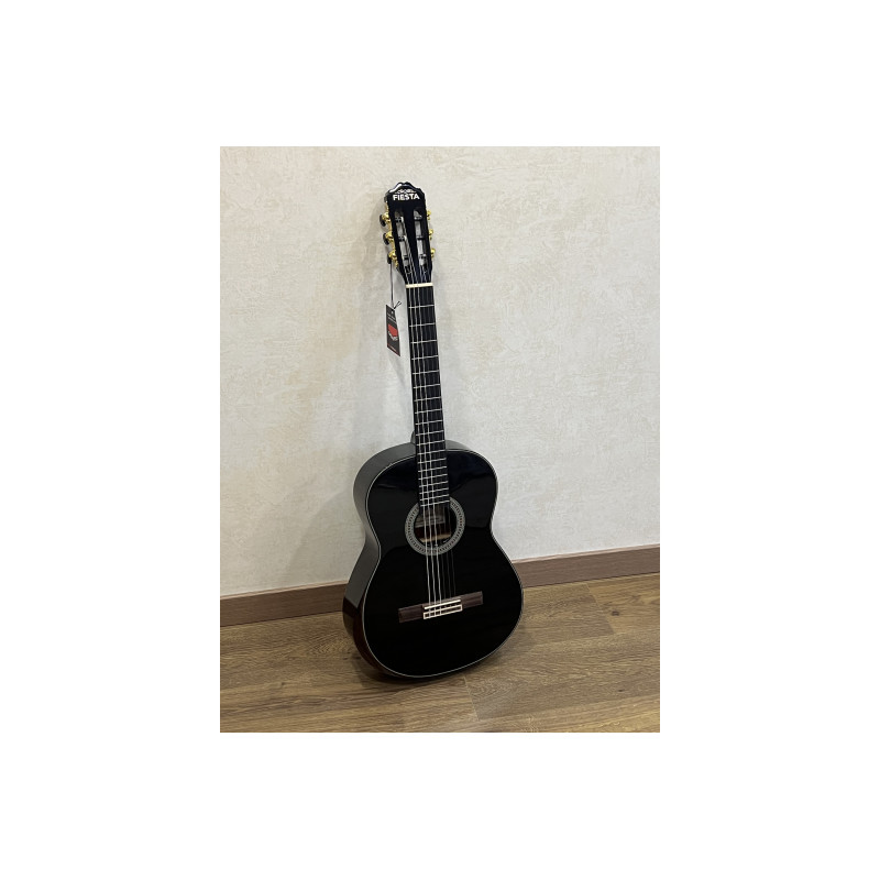 FIESTA AC-02 BK Класична гітара
