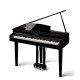 Цифровий рояль Kawai DG30
