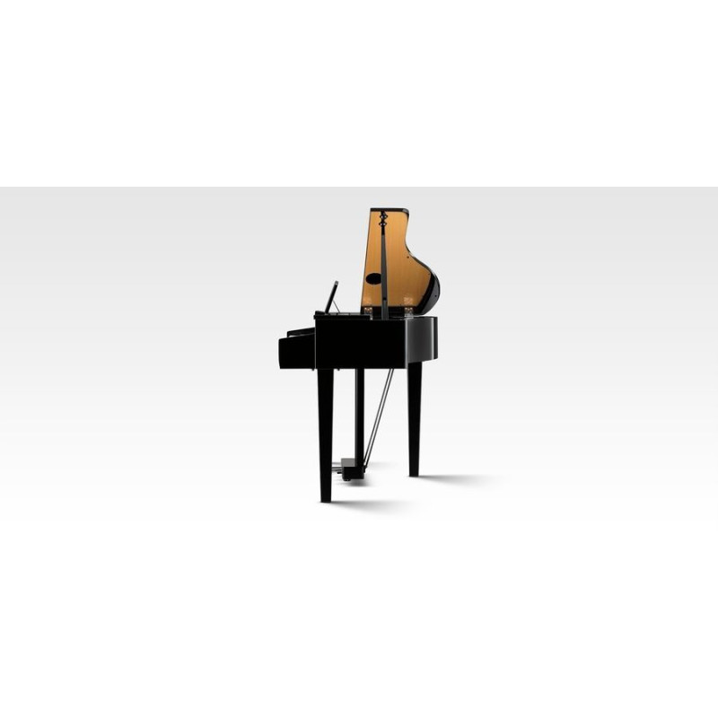 Цифровий рояль Kawai DG30