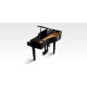 Цифровий рояль Kawai DG30