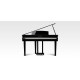 Цифровий рояль Kawai DG30