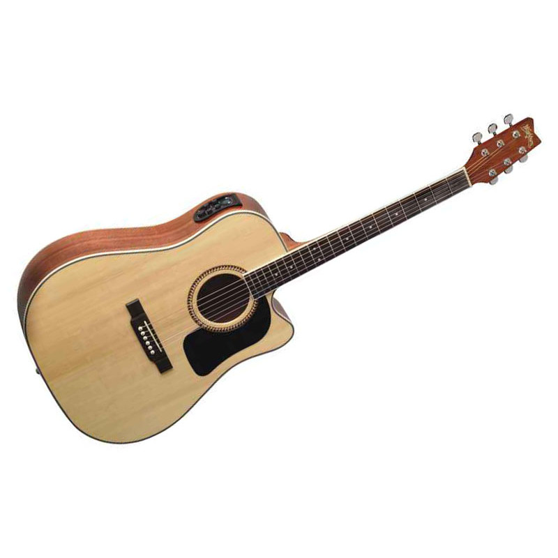 WASHBURN D10 SCEB Акустическая гитара