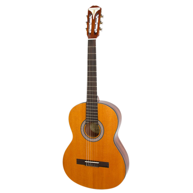 Гітара класична EPIPHONE PRO-1 CLASSIC 3/4