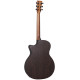 MARTIN 11GPCX2E-02 Акустическая гитара