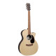 MARTIN 11GPCX2E-02 Акустическая гитара