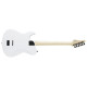 FUJIGEN JIL2ASHDE664G/OPW Электрогітара