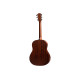 TAYLOR GUITARS 317e Гітара електроакустична