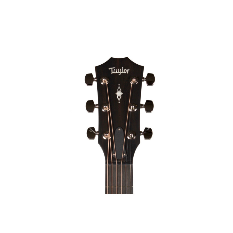 TAYLOR GUITARS 317e Гітара електроакустична