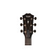 TAYLOR GUITARS 317e Гітара електроакустична