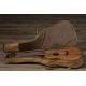TAYLOR GUITARS ACADEMY 20E Гітара електроакустична