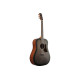 IBANEZ AAD50-TCB Акустическая гитара