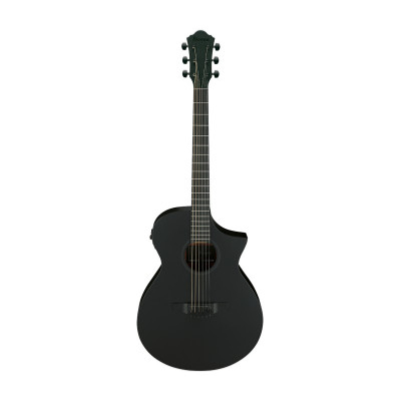 IBANEZ AEWC621 BOT Гітара електроакустична 