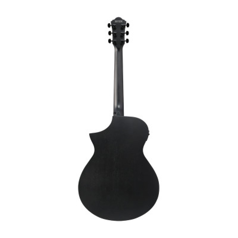 IBANEZ AEWC621 BOT Гітара електроакустична 