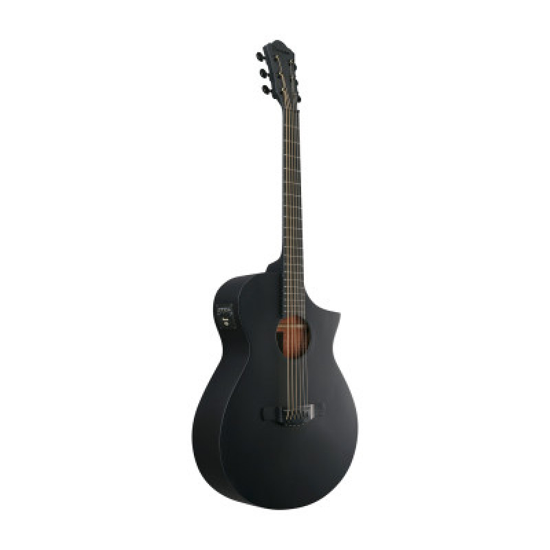 IBANEZ AEWC621 BOT Гітара електроакустична 
