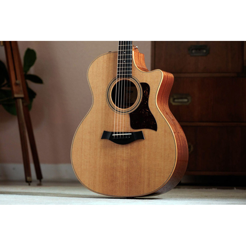 TAYLOR GUITARS 314CE STUDIO SPECIAL EDITION NATURAL Гітара електроакустична