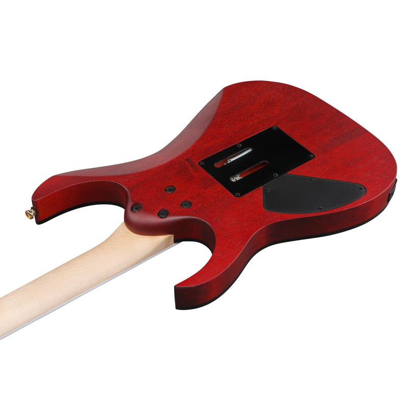 IBANEZ RGR420FMSP-TGF Электрогитара