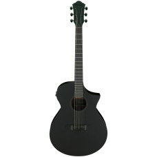 IBANEZ AEWC621 BOT Гітара електроакустична 