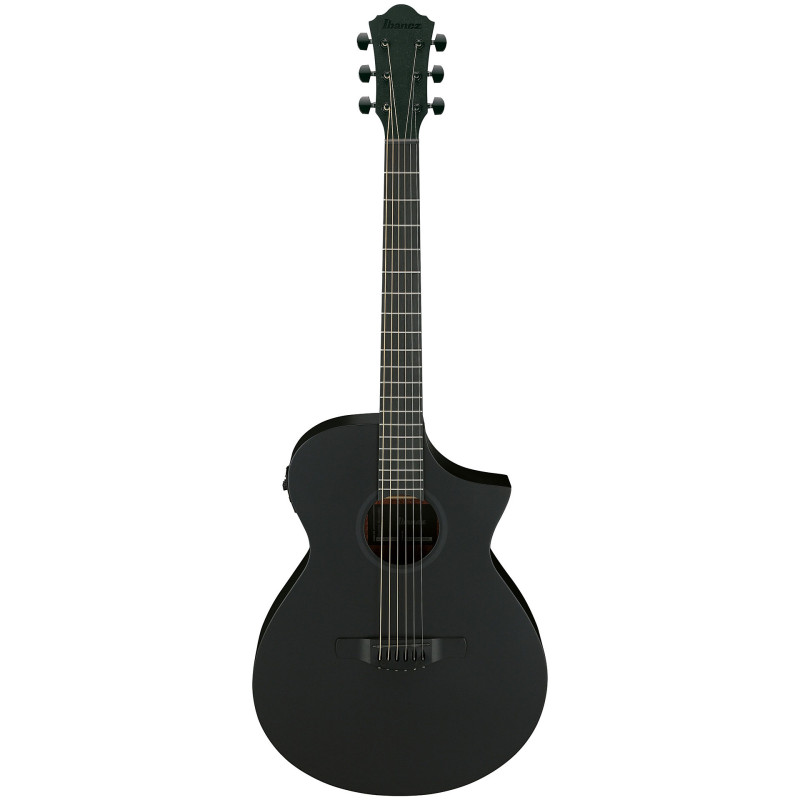 IBANEZ AEWC621 BOT Гітара електроакустична 