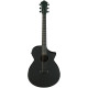 IBANEZ AEWC621 BOT Гітара електроакустична 