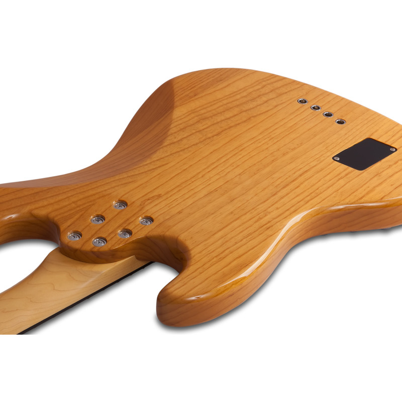 SCHECTER DIAMOND-J PLUS AN