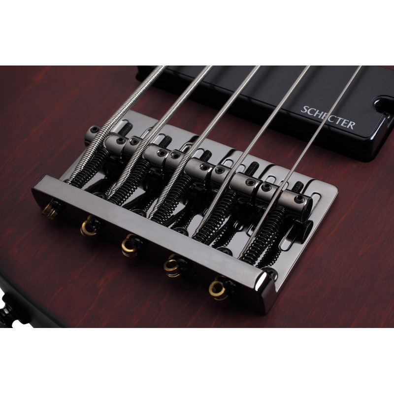 SCHECTER OMEN-5 WSN