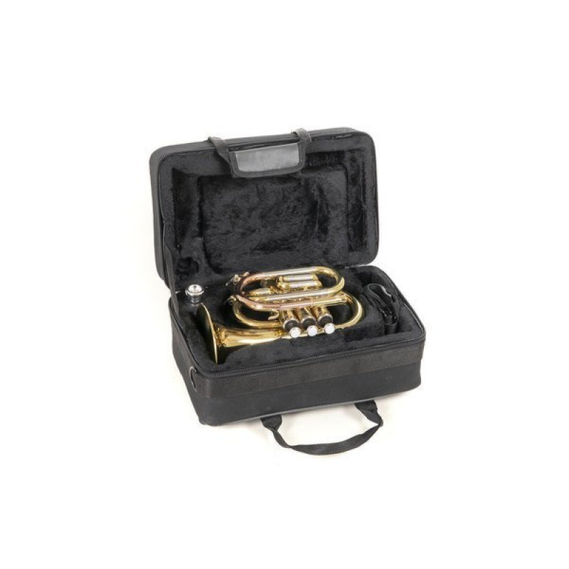 Кишенькова труба Roy Benson PT-302 Bb-Pocket trumpet