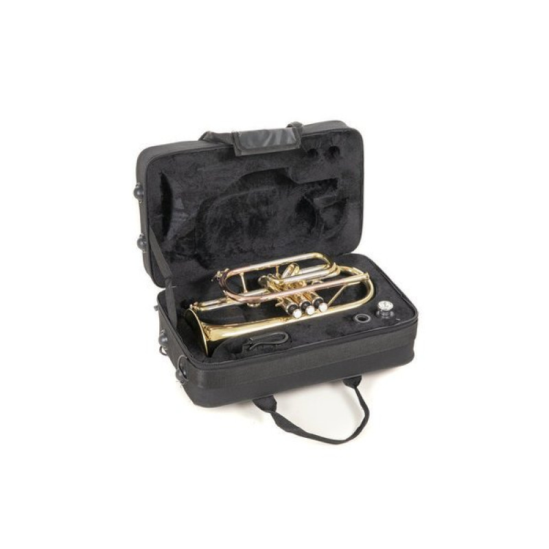 Корнет Roy Benson CR-202 Bb-Cornet