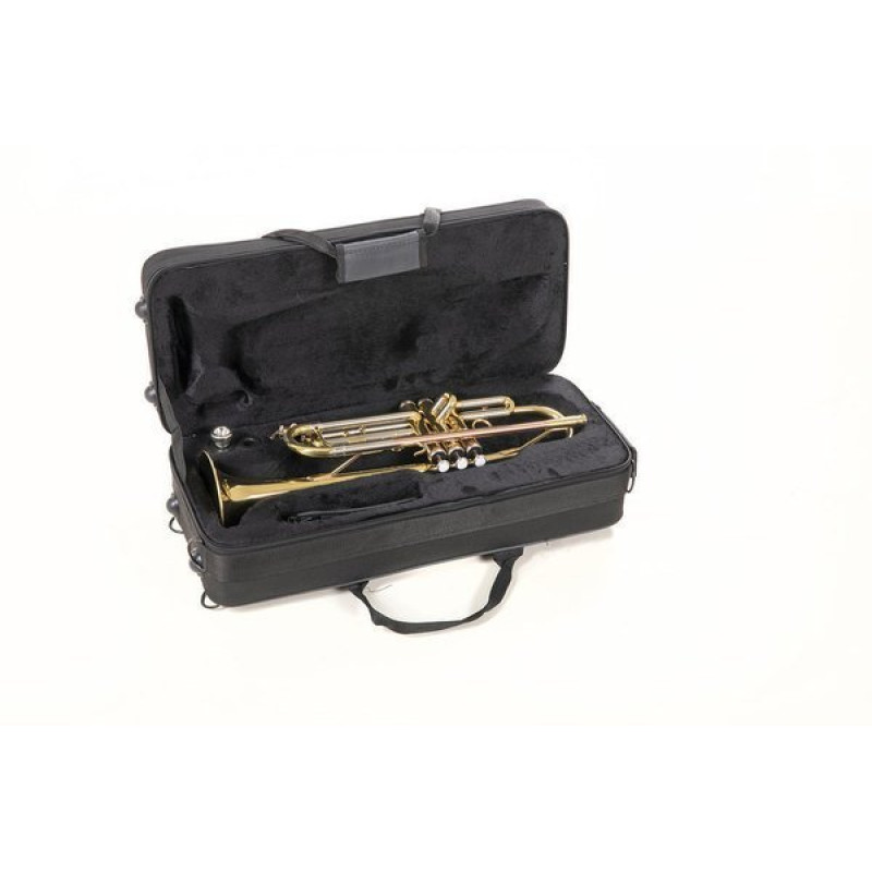 Труба Roy Benson TR-202 Bb-Trumpet