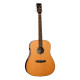 TANGLEWOOD TRS5 SE Електроакустична гітара