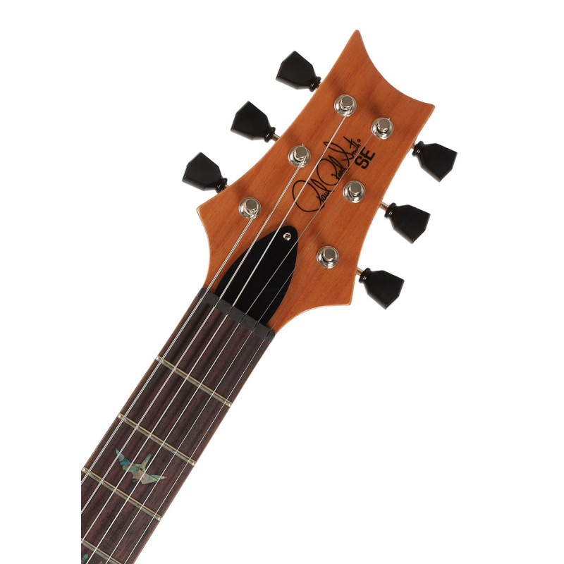 PRS SE Paul's Guitar (Faded Blue Burst)
