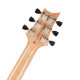 PRS SE Paul's Guitar (Faded Blue Burst)