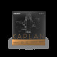 D`ADDARIO KAPLAN AMO VIOLIN STRING SET 4/4 Scale Medium Tension