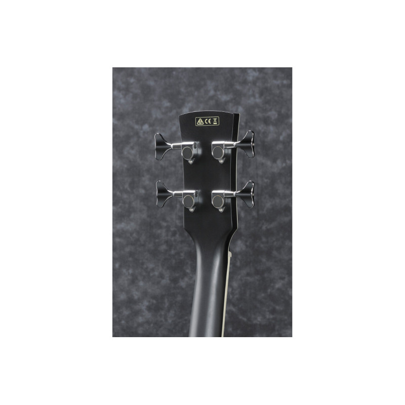IBANEZ PCBE14MH WK Бас-гитара акустическая