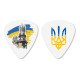 DUNLOP TORTEX WEDGE CUSTOM CRIMEA