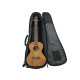 GATOR GBE-UKE-CON Concert Ukulele Gig Bag Чехол для укулеле концерт