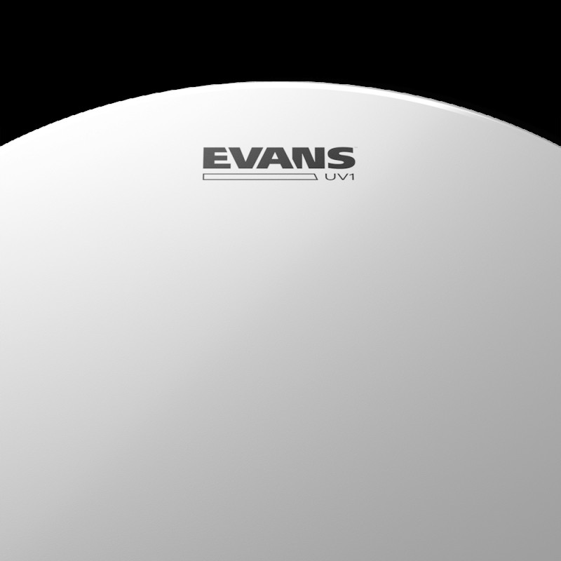 EVANS 18