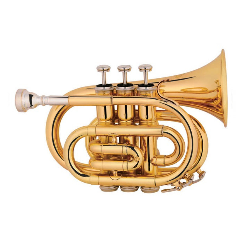 MAXTONE TT MINI 53L