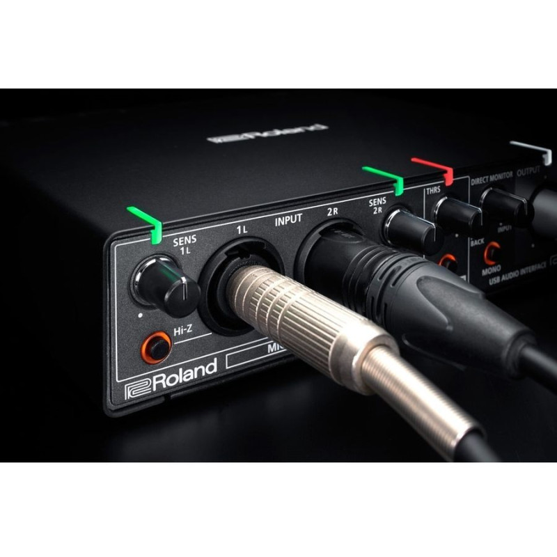 ROLAND RUBIX 44 Аудіоінтерфейс Usb